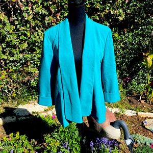 Jones Studio, Green, Lined, Blazer, size 16